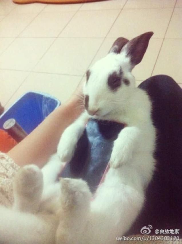 W skrócie: Galaxy Note 4 w sprzedaży, a One (M8) EYE nie dla nas 9