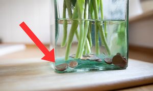 Co zrobić, by tulipany dłużej stały w wazonie? Prosty trik