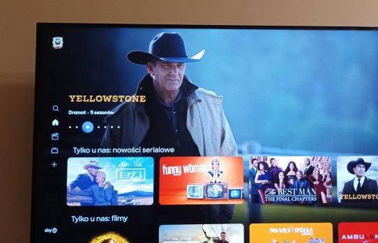 Skoczyły wyniki SkyShowtime i VOD.pl. W górę także platformy Polsatu i Player, Disney+ przed HBO Max