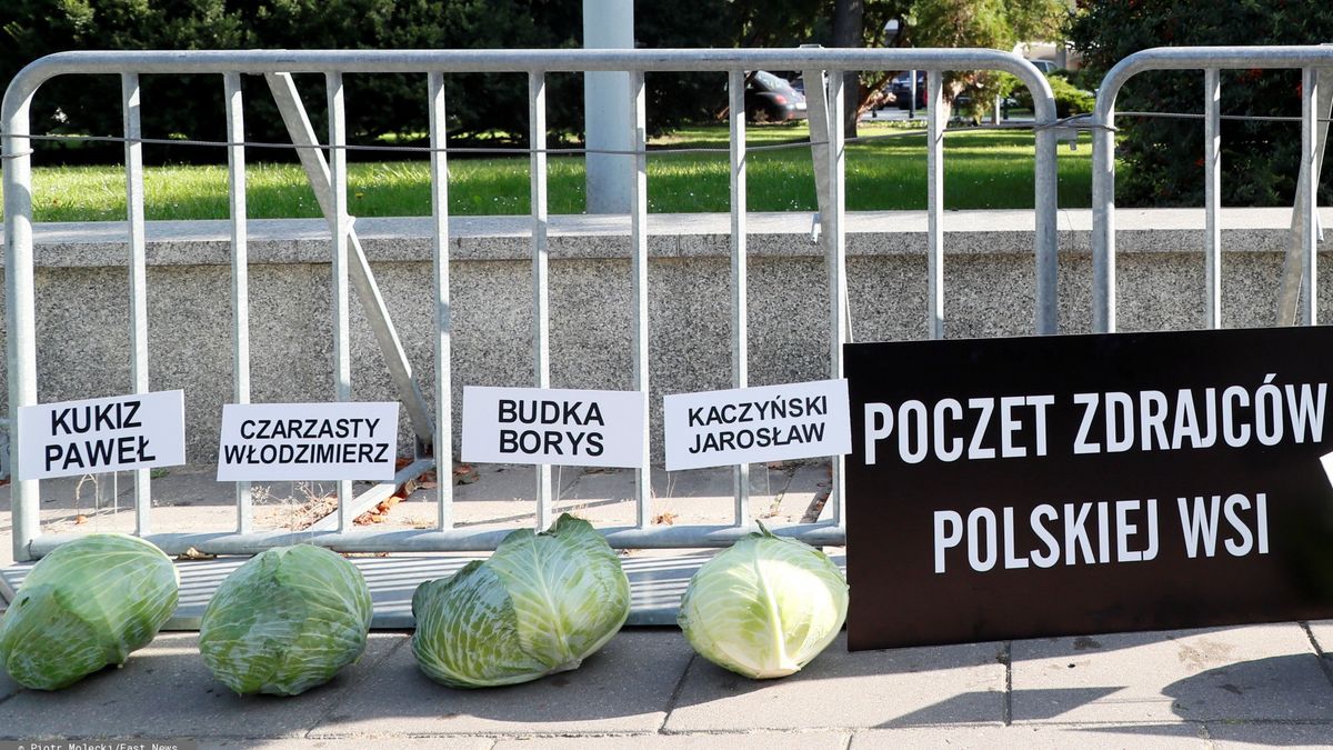 Tak wyglądał środowy happening AgroUnii