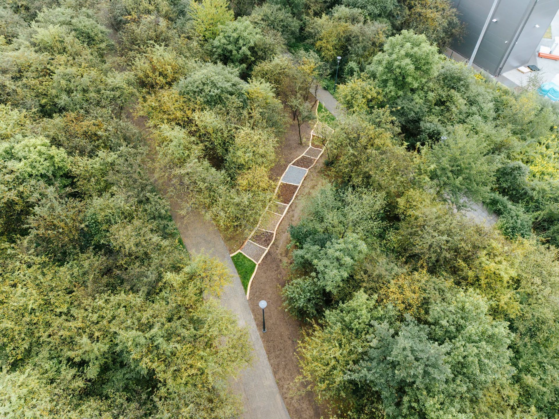 Park na Międzytorzu w Płocku 