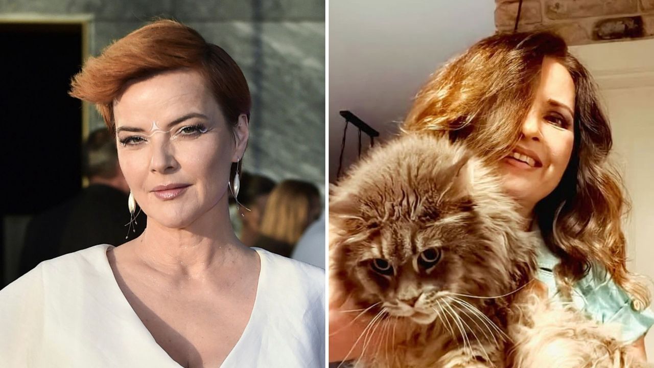 Monika Richardson nie odpuszcza i znów zaczepia gwiazdę Polsatu. Ta szybko odpowiedziała