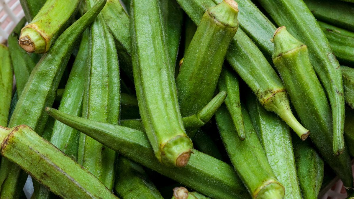 Okra