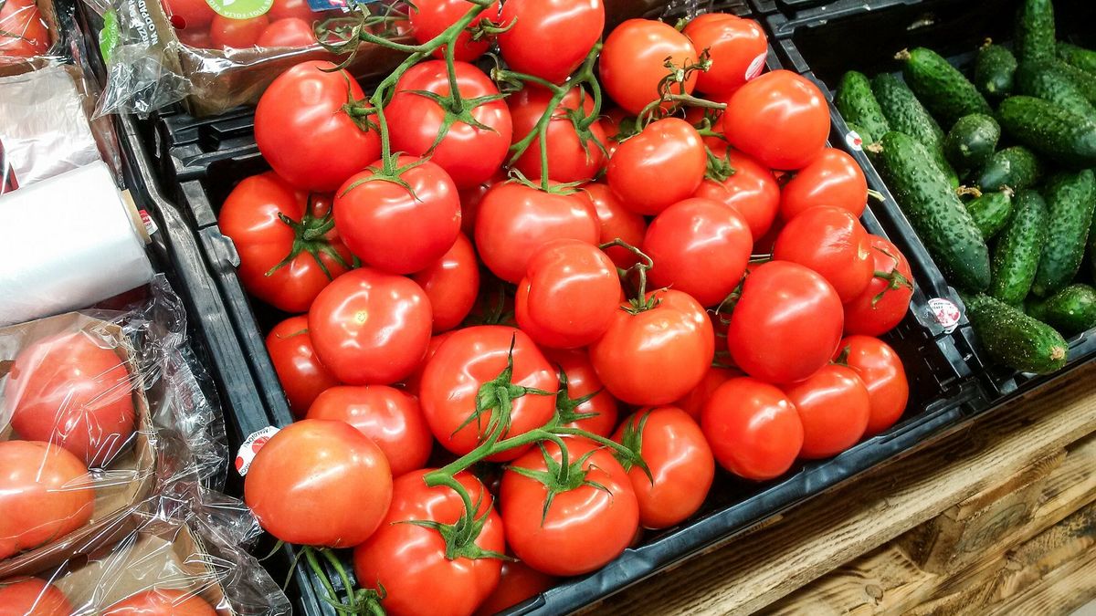 Reporter archiwum 2023 08
03.08.2023 artykul spozywczy fot. Artur Szczepanski/REPORTER n/z pomidory
Artur Szczepanski/REPORTER