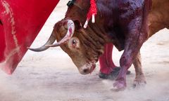Szokujące sceny na corridzie. Nie żyje torreador
