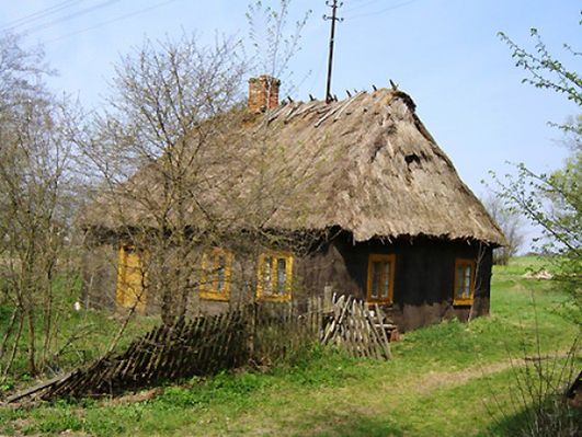 Obraz