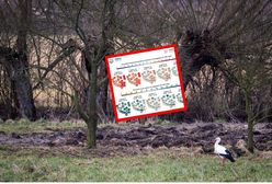 Temperatura poszybuje! Kurtki i czapki pójdą w odstawkę