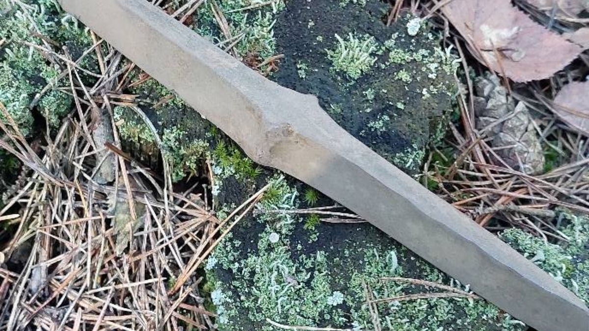 Pokazali, co udało się znaleźć w lesie.