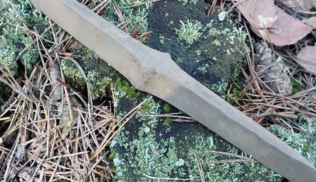 Myślał, że las jest pusty. I nagle takie odkrycie. "Zabezpieczone"