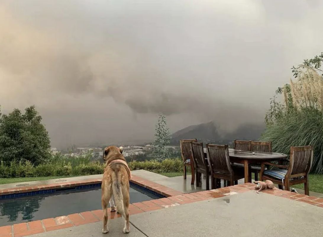 Taras Alicji Bachledy-Curuś