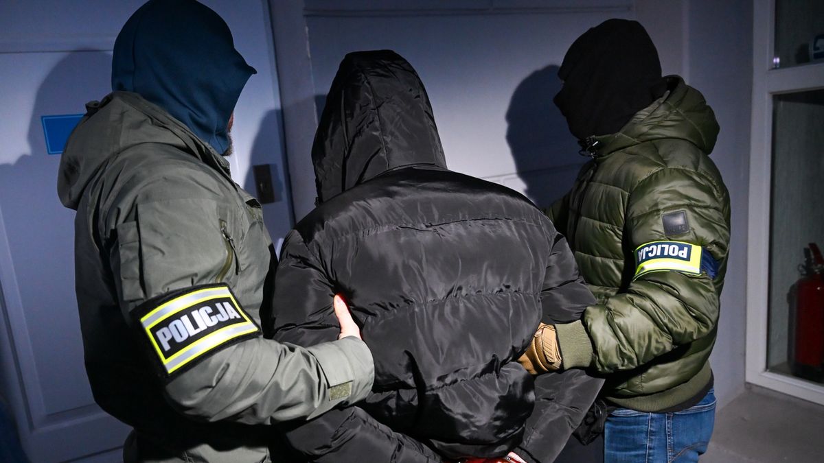 Zarzuty dla mężczyzny podejrzanego o uprowadzenie dziecka.