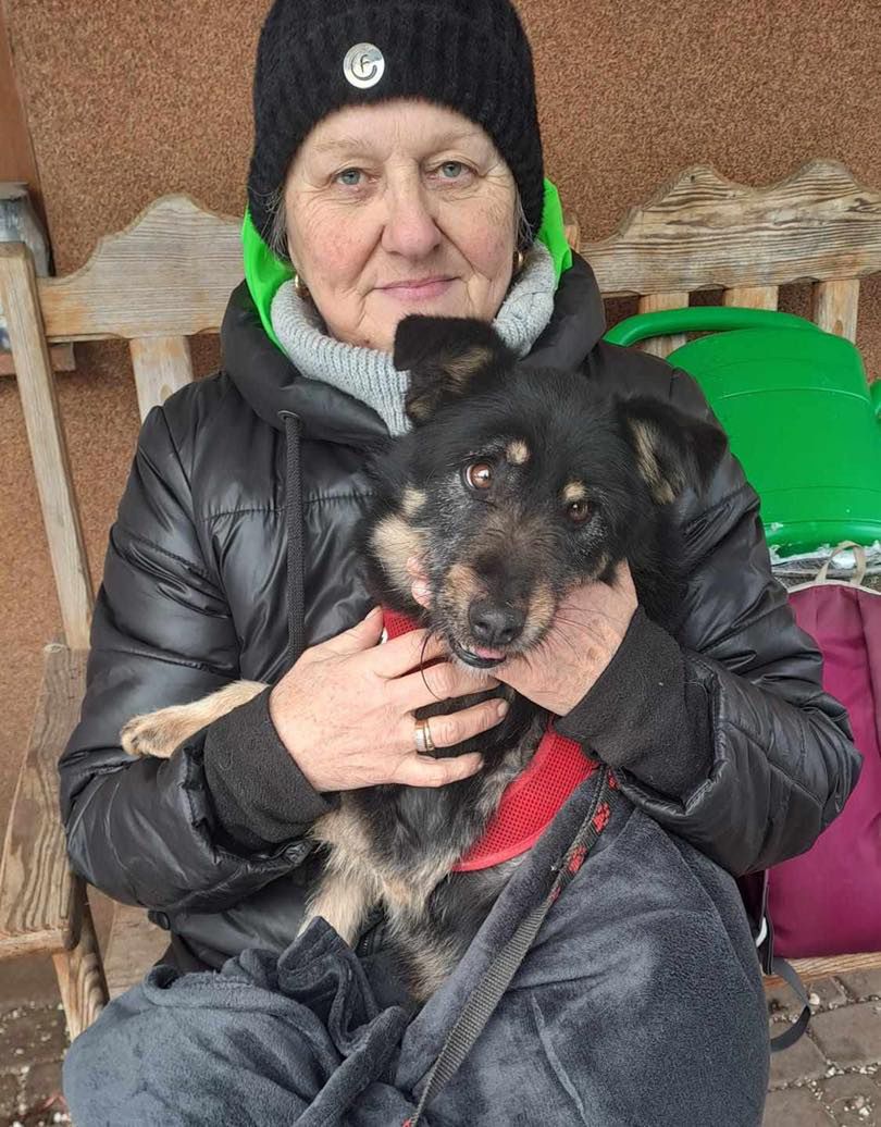 Akcja ratunkowa zwierzaków ze schroniska Kocham Psisko!