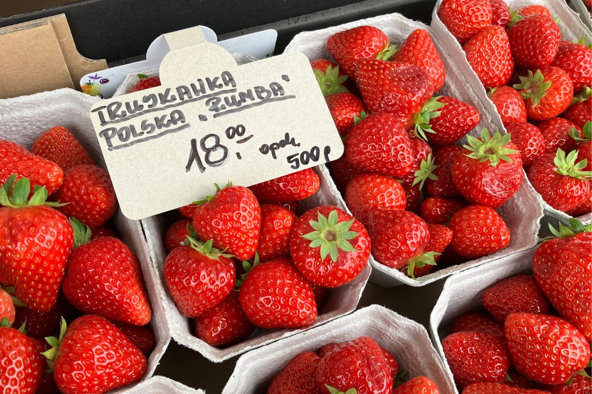 Truskawki z poznańskiego warzywniaka