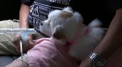 Niezwykła karetka pogotowania. Chińscy ratownicy ruszają z pomocą