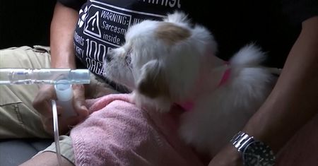 Niezwykła karetka pogotowania. Chińscy ratownicy ruszają z pomocą
