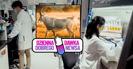 Wymarł 200 lat temu. Ten gatunek może powrócić