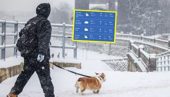 Kiedy koniec ataku zimy w Polsce? Niemcy już wiedzą