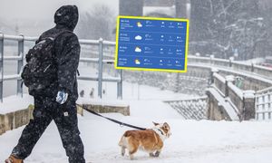 Kiedy koniec ataku zimy w Polsce? Niemcy już wiedzą