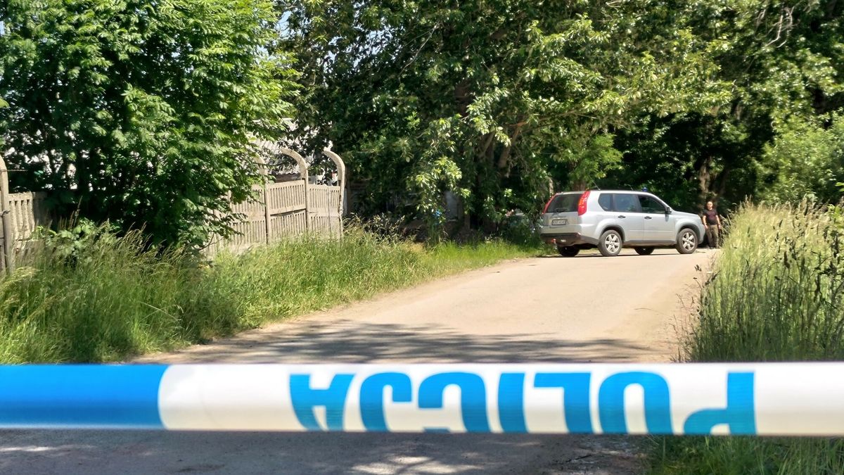 Tragedia podczas polowania (zdjęcie ilustracyjne)