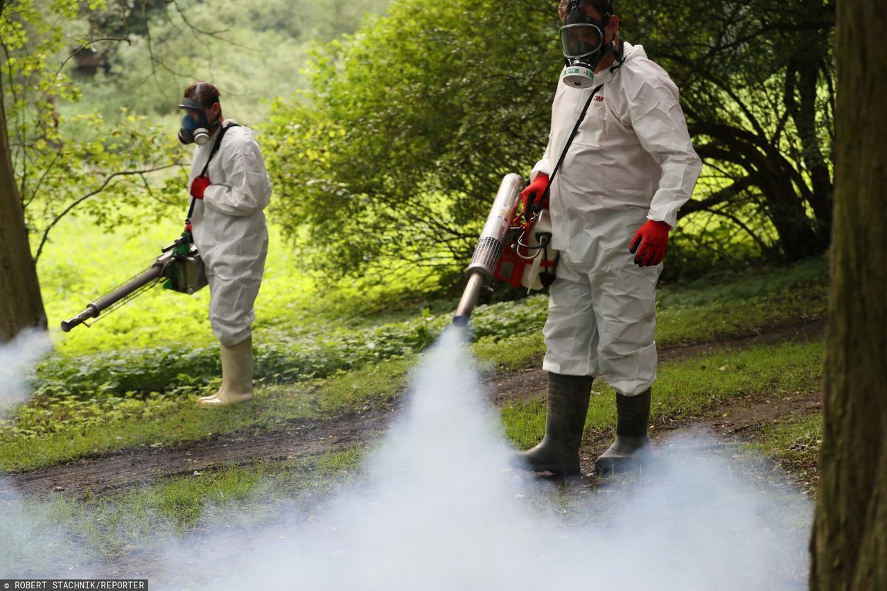Mosquito menace: Europe combats rising threat of tropical diseases