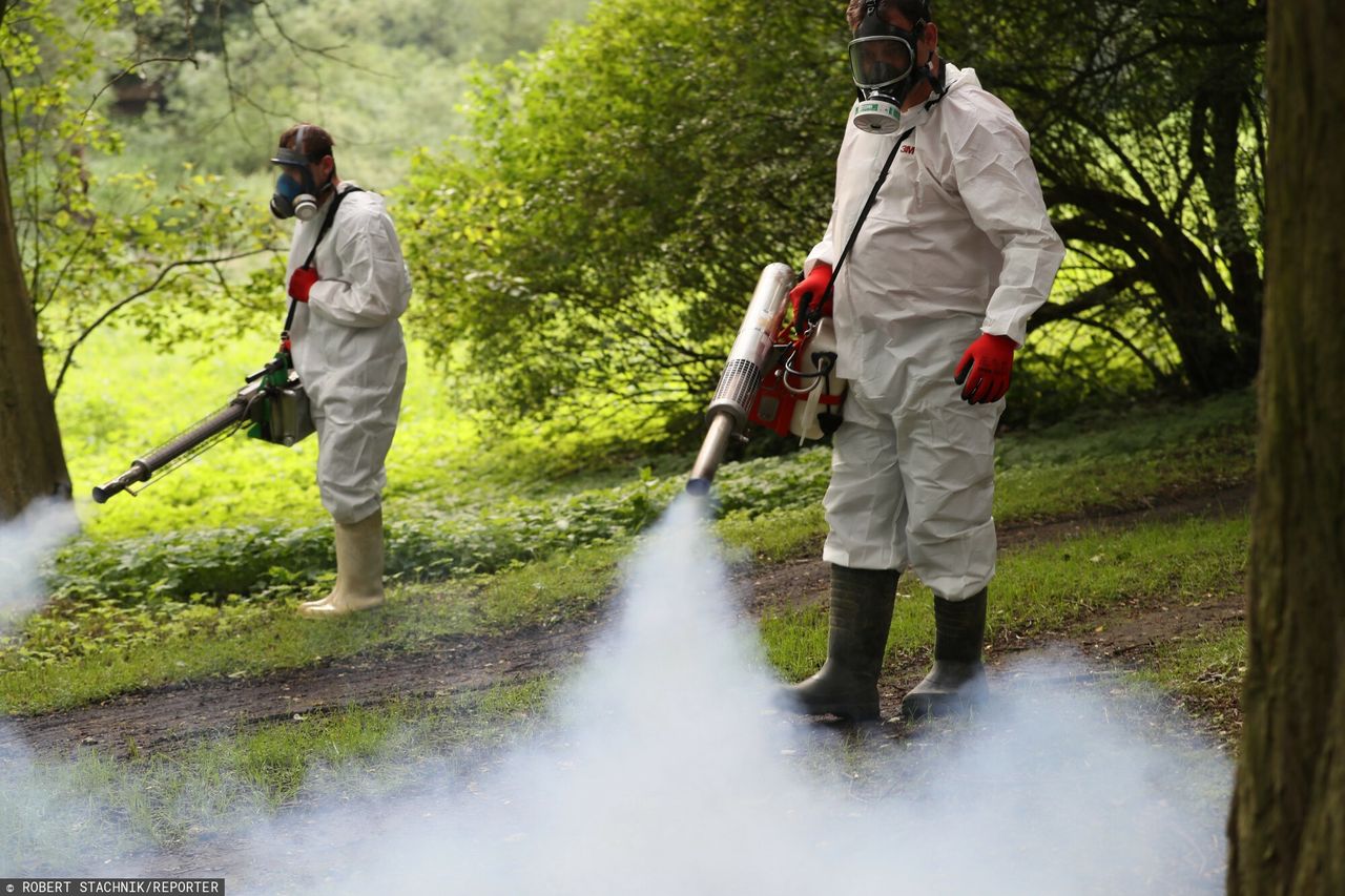 Mosquitoes can be a real pain. Mosquito control.