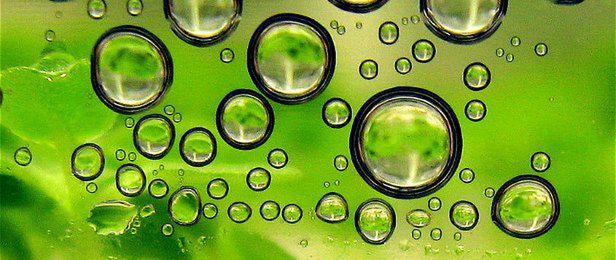 Synteza biopaliw - pora na mikroby 1
