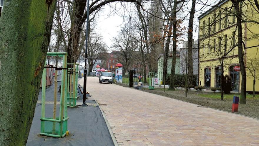Gliwice. Al. Przyjaźni z każdym rokiem robi się coraz piękniejsza.