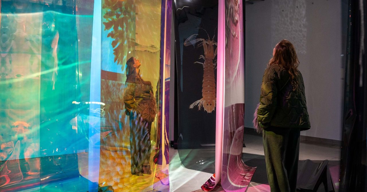 Sopot: Byliśmy na otwarciu nowej wystawy w Państwowej Galerii Sztuki