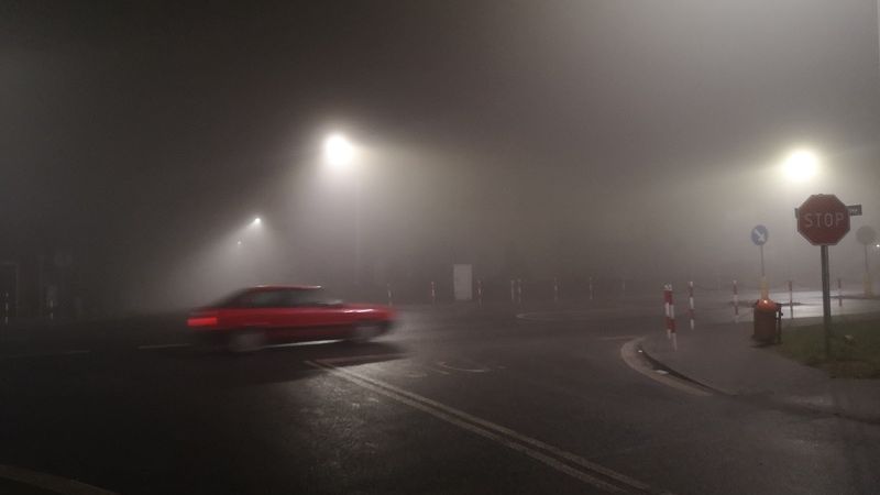 gęsta mgła na drodze