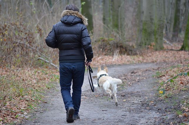 W Bielsku-Białej, prócz nowych zasad, przypominają o sprzątaniu po pupilach