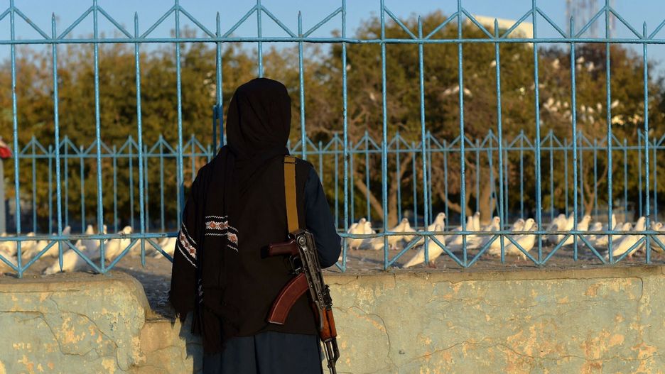 TemporaryA Taliban fighters watches pigeons at the courtyard of Hazrat-e-Ali shrine or Blue Mosque, in Mazar-i-Sharif on October 30, 2021. (Photo by WAKIL KOHSAR / AFP)WAKIL KOHSAR