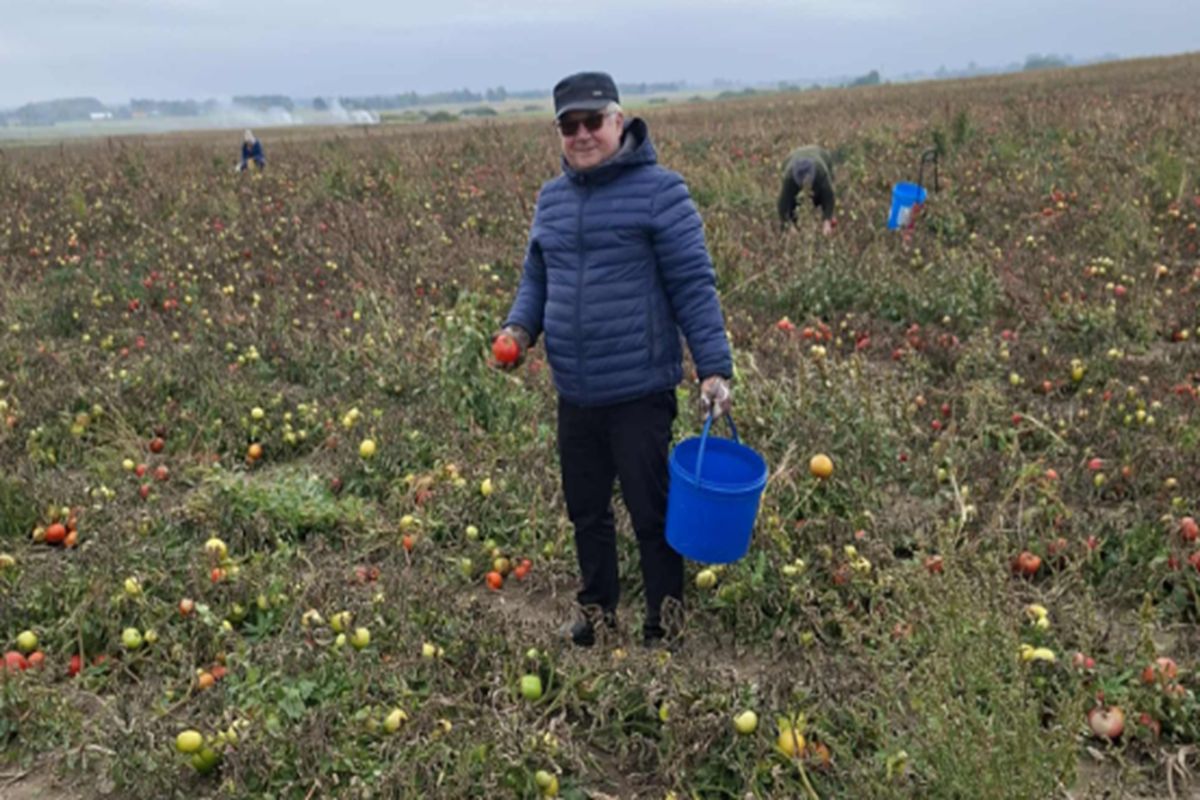 Tyle zarobili. Samozbiory na rzecz kościoła. Ksiądz podał kwotę