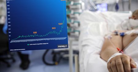 Koronawirus w Polsce. Najnowsze dane. Wykresy nie pozostawiają złudzeń