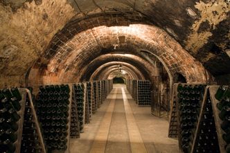 "Historyczny moment". Polacy przejmują renomowaną hiszpańską winnicę