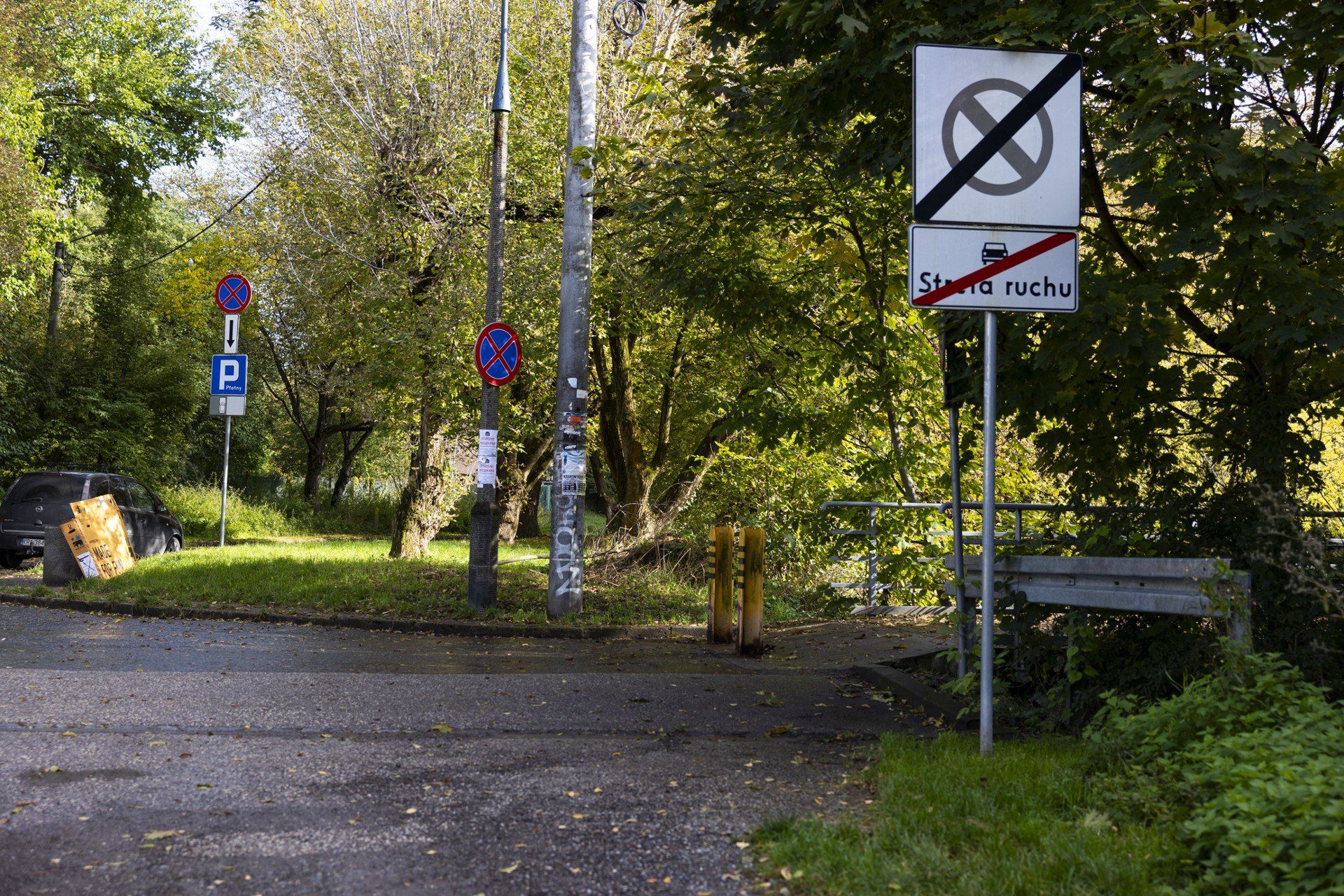 Tereny nad Białuchą w Krakowie, Grzegórzki, Olsza
