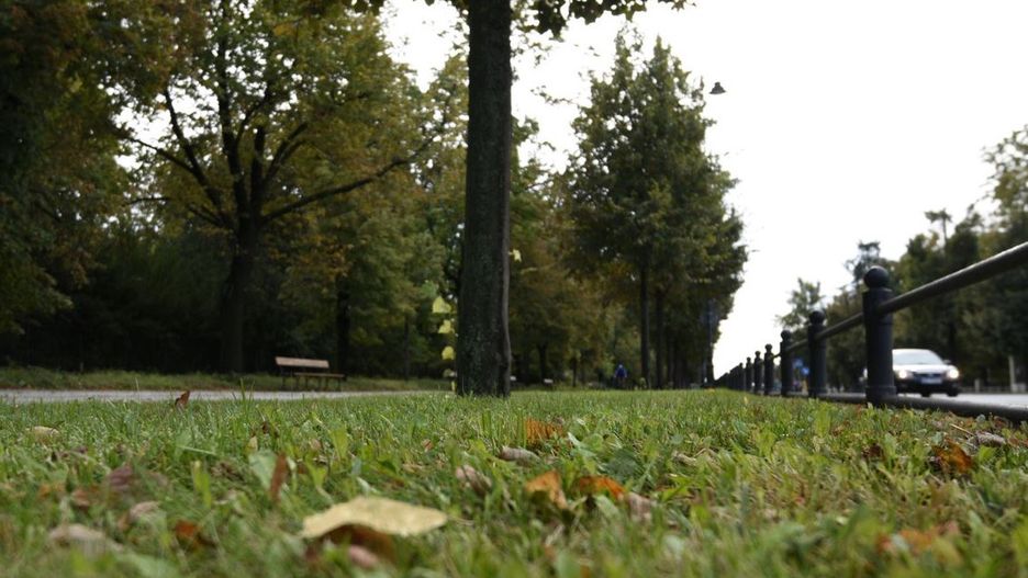 Warszawa. Rozpoczęło się ostatnie w tym roku koszenie trawy