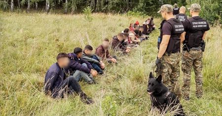 Podlasie. Setki nielegalnych imigrantów na granicy
