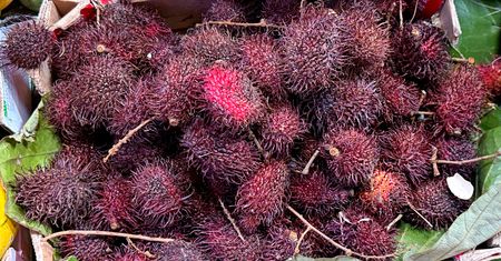 Egzotyczny owoc bogaty w witaminę C i żelazo. Rambutan w roli głównej