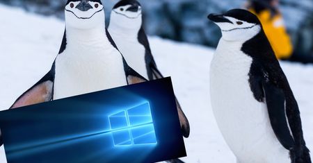 Windows 10 otrzyma jądro Linux