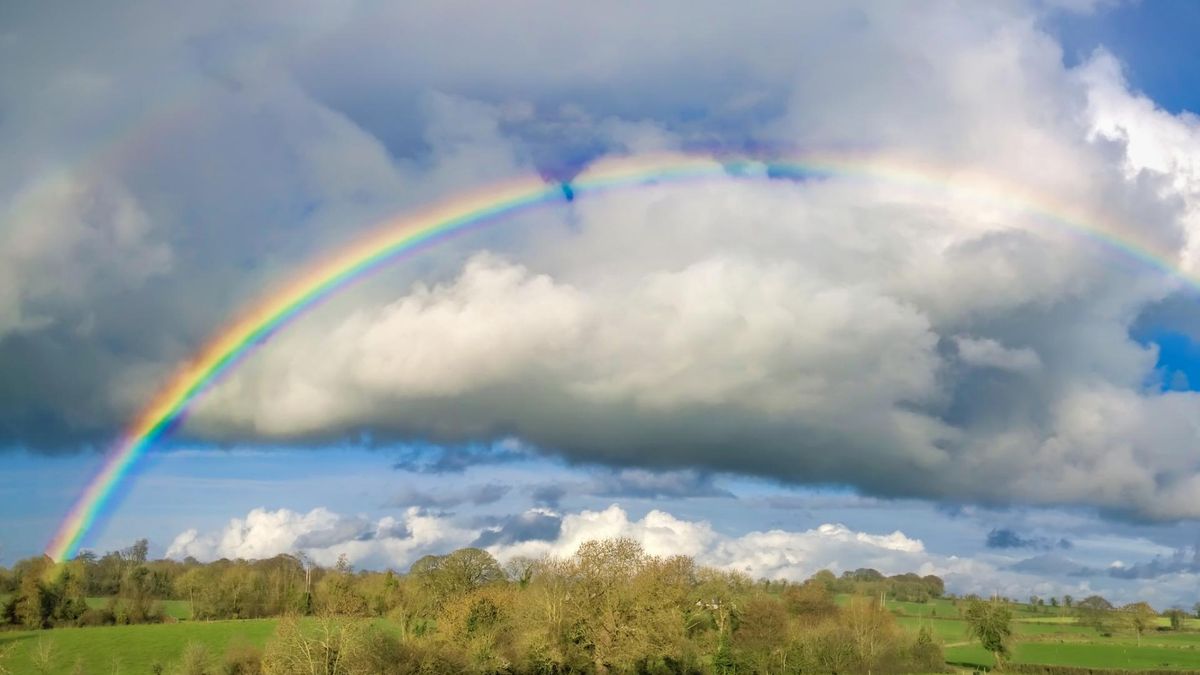 Tęcza. Jak powstaje to zjawisko?