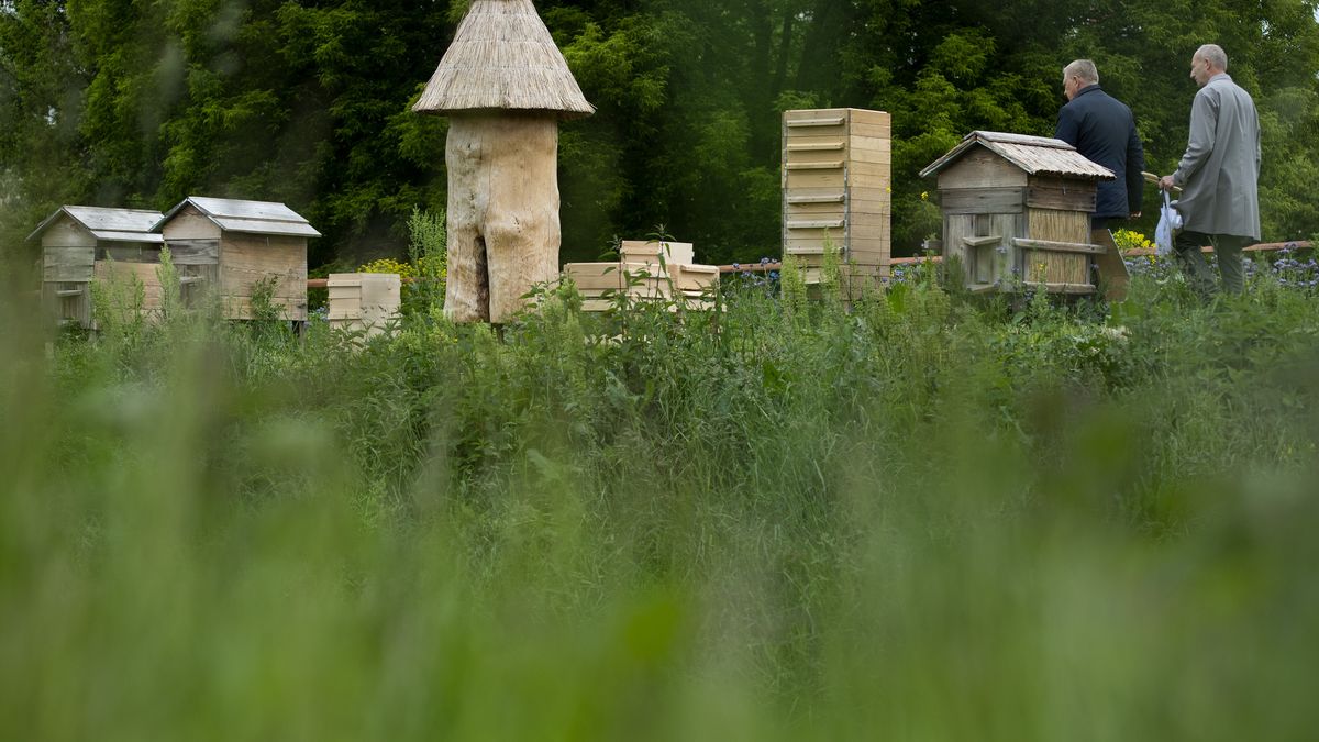Miejskie pasieki czy "domki dla owadów" to popularne ostatnio inicjatywy, które mają zwiększyć liczebność owadów w miastach