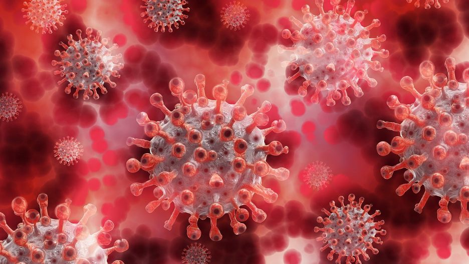 Koronawirus to "pandemia strachu"?