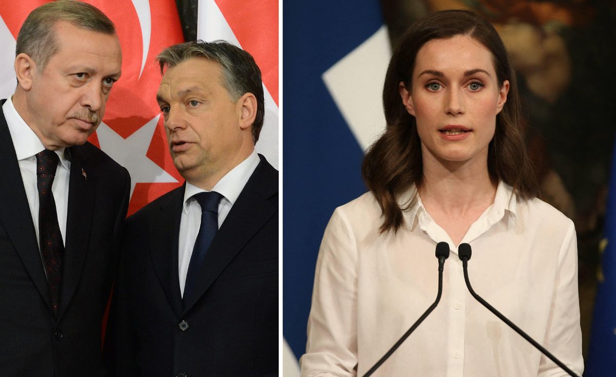 Premier Finlandii apeluje do Ankary i Budapesztu o działanie