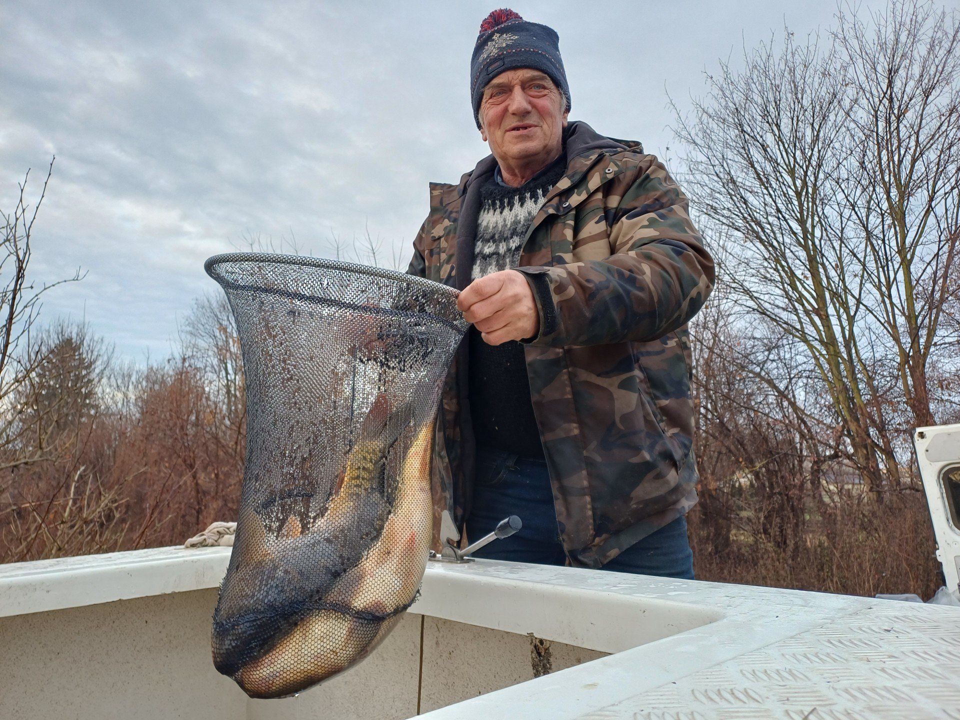 Karpie z Osieka w cenie 28 złotych