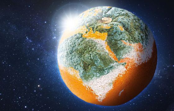 „Marnując żywność, marnujesz planetę” - alarmują Banki Żywności (wideo)