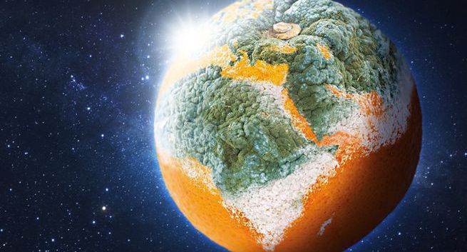 „Marnując żywność, marnujesz planetę” - alarmują Banki Żywności (wideo)