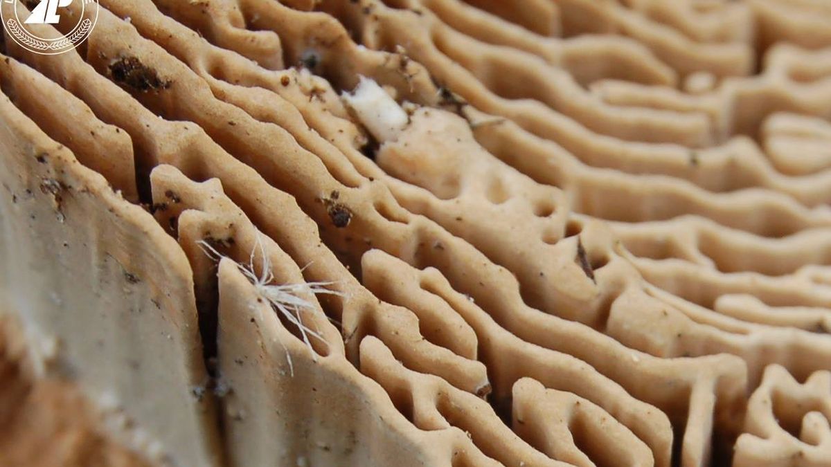 Co jest na zdjęciu?