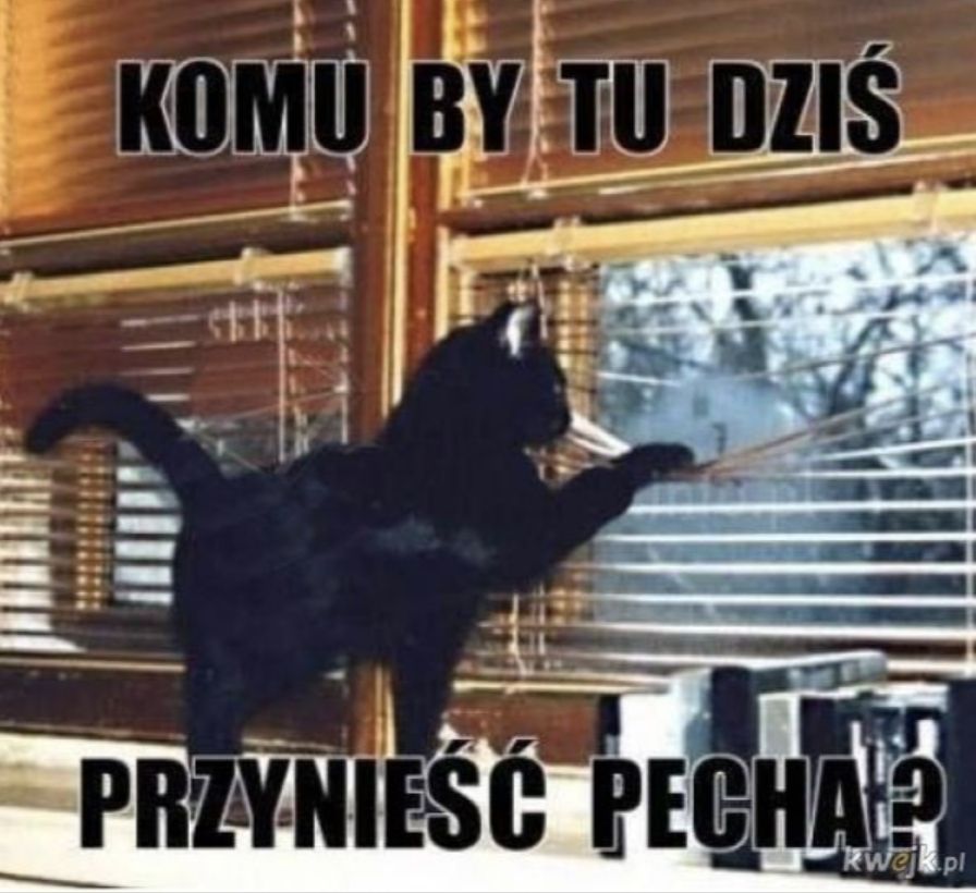 Memy z okazji piątku 13