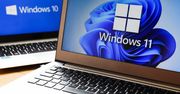 Windows 11: obszar startowy zyska foldery, a okna nowy efekt rozmycia