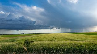 Gwałtowne załamanie pogody. Alerty IMGW w 9 województwach
